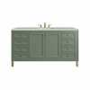 James Martin Vanities Chicago 60in Single Vanity, Smokey Celadon w/ 3 CM Eternal Serena Top 305-V60S-SC-3ESR